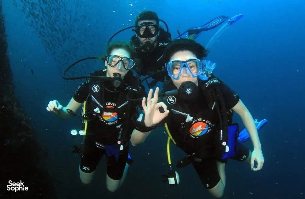 Seek Sophie option picture