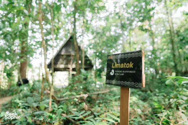 2D1N Kinabatangan Jungle Camp & River Safari – Offbeat & Community-Led