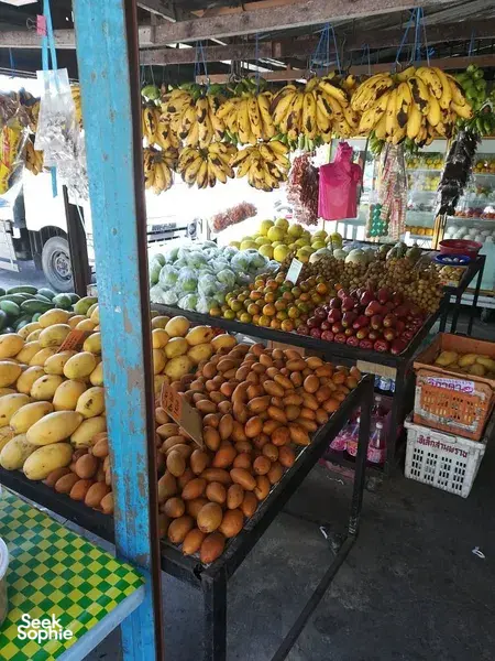 Close view of a Langkawi fruit and produce stall with bananas overhead and stacked oranges and other tropical fruits on counters