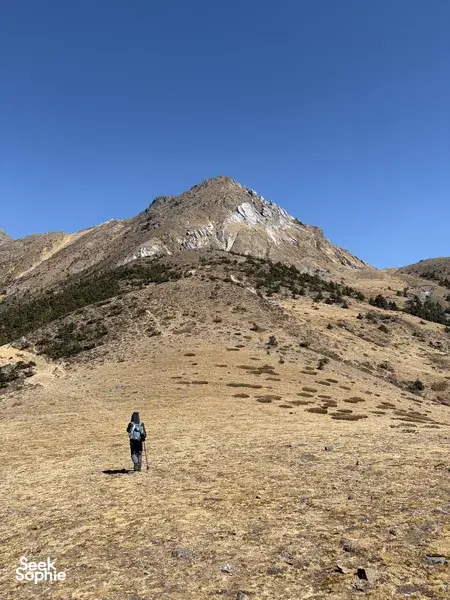导游带领的一天徒步登山，登上翡翠龙山的第一峰｜避开人群