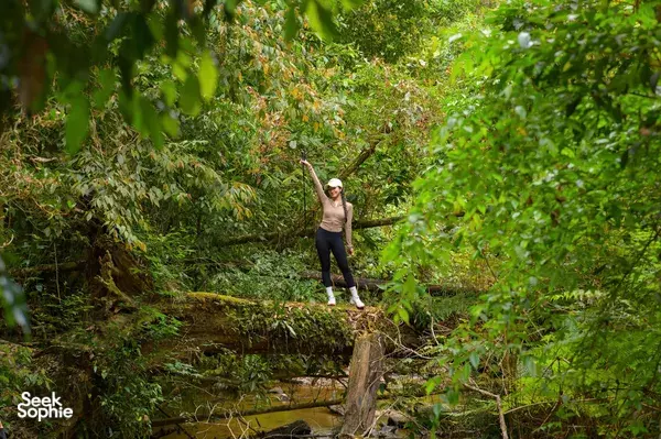 2D1N Jungle Trek with Campfire BBQ | Discover the K'Ho Food Path