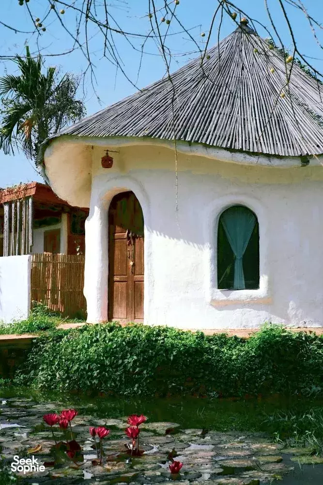 Seek Sophie option picture