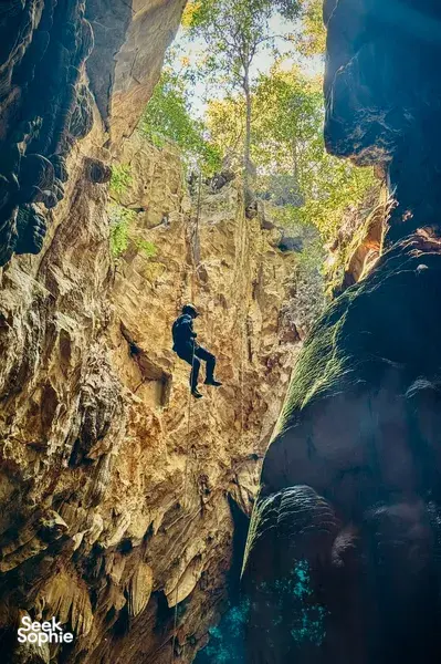 Single traveller in a zipline harness gliding along a rocky karst gorge inside Phong Nha, with trees visible above