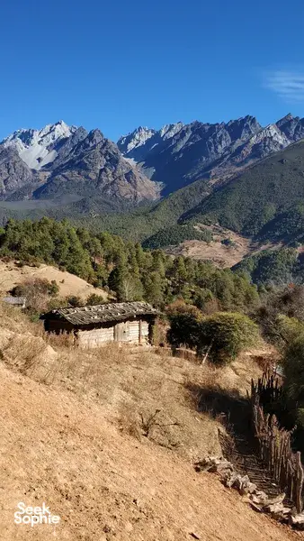 丽江出发的一日隐秘村落和文海湿地徒步旅行