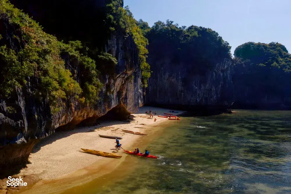 Seek Sophie option picture