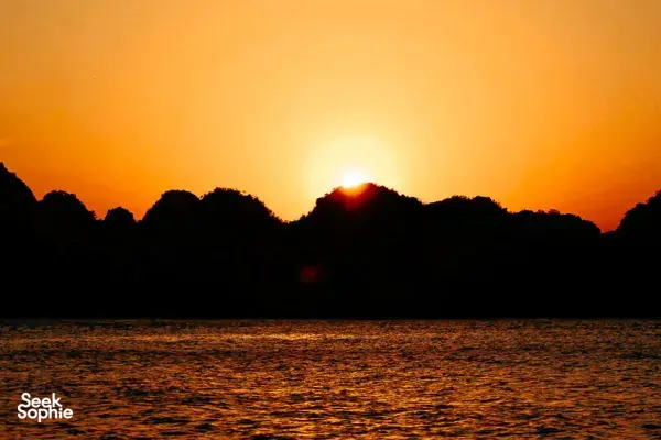 1 Day Hidden Lan Ha Bay Cruise | Secret Spots, Crabbing & Beach BBQ