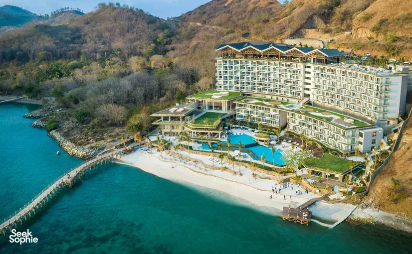 Seek Sophie option picture