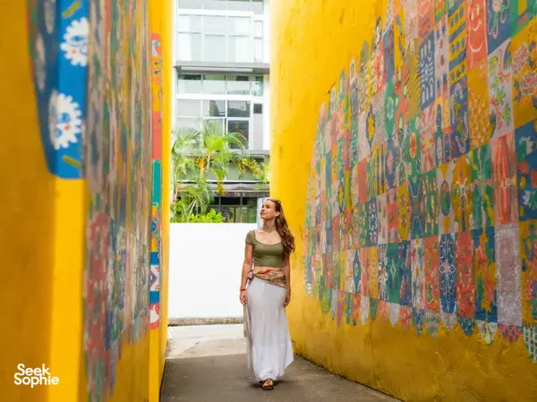 Katong-Joo Chiat alley with colourful murals, a real-life Monopoly game leading you through Singapore hidden gems