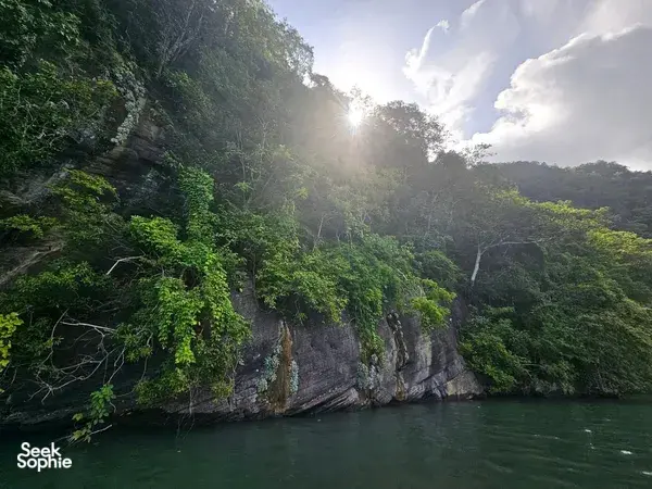 Sunlit limestone cliffs and dense jungle lining a calm bay in Langkawi during a UNESCO Geopark Cruise