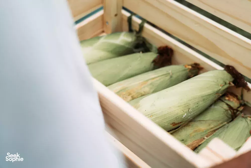 Seek Sophie option picture