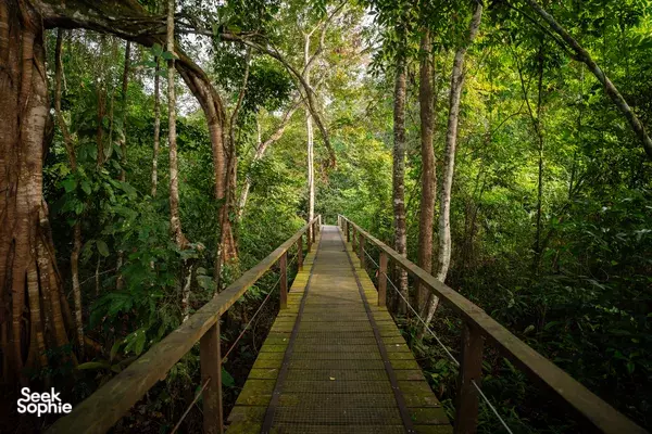 2D1M Safari Sungai Kinabatangan dengan Sepilok & Sorotan Sandakan