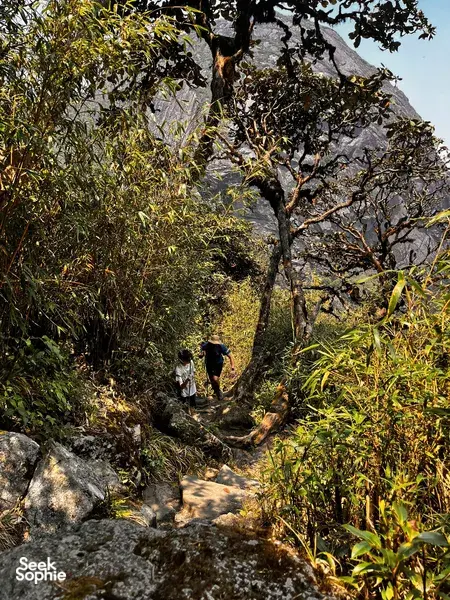 Trekker walks along a rocky mountain route between bamboo and scrub near Mt Fansipan in Sapa on the eco trail
