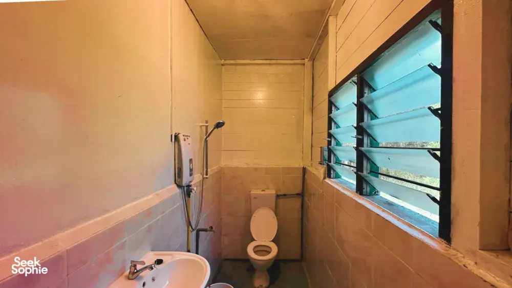 Seek Sophie option picture