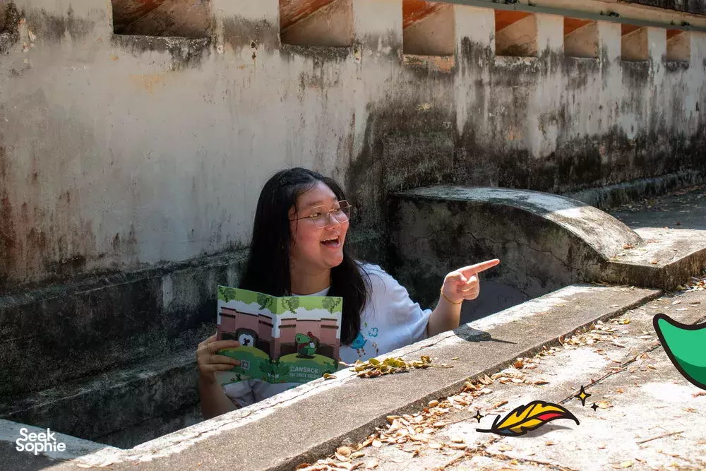 Seek Sophie option picture