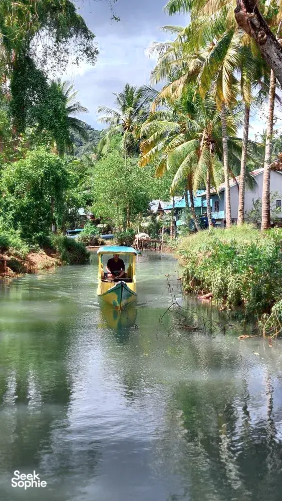Bot menyusuri laluan bakau yang tenang, dengan deretan pokok palma di kedua-dua tebing ketika seorang pengembara mendayung di Labuan Bajo