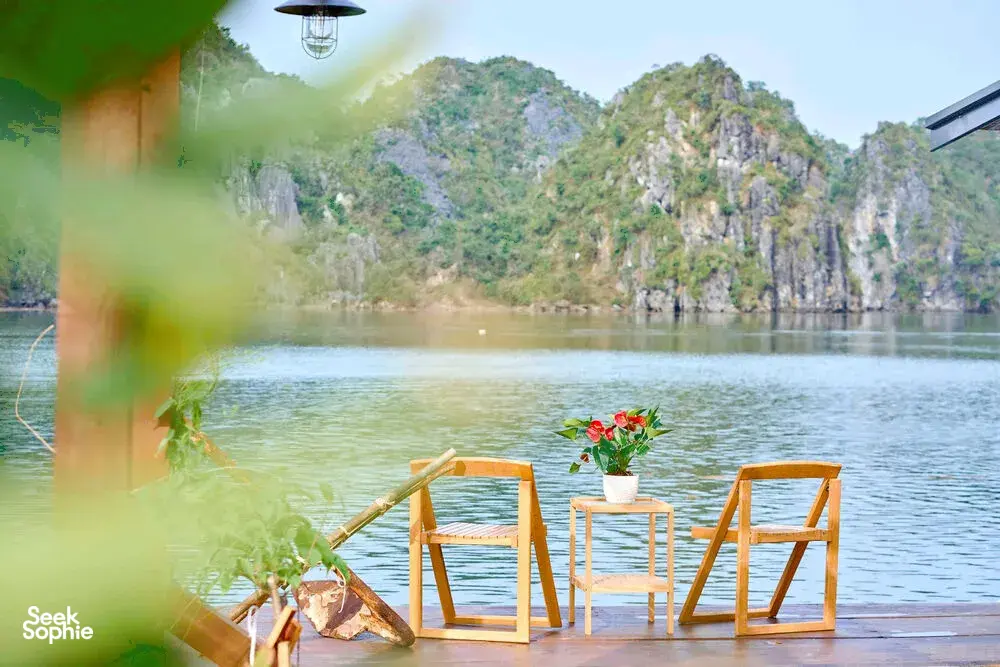 Seek Sophie option picture