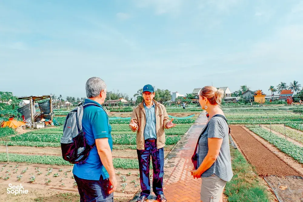 Seek Sophie option picture