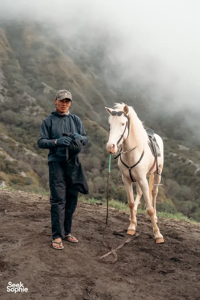 Seek Sophie option picture