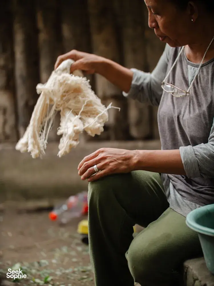 Seek Sophie option picture