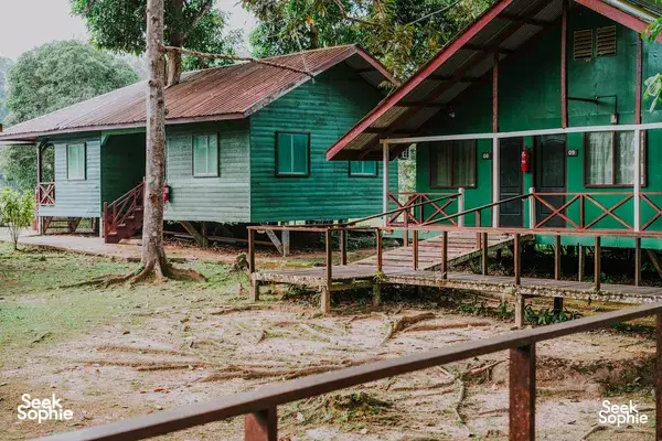 3D2N Kinabatangan River Safari with Night Cruise & Jungle Trek