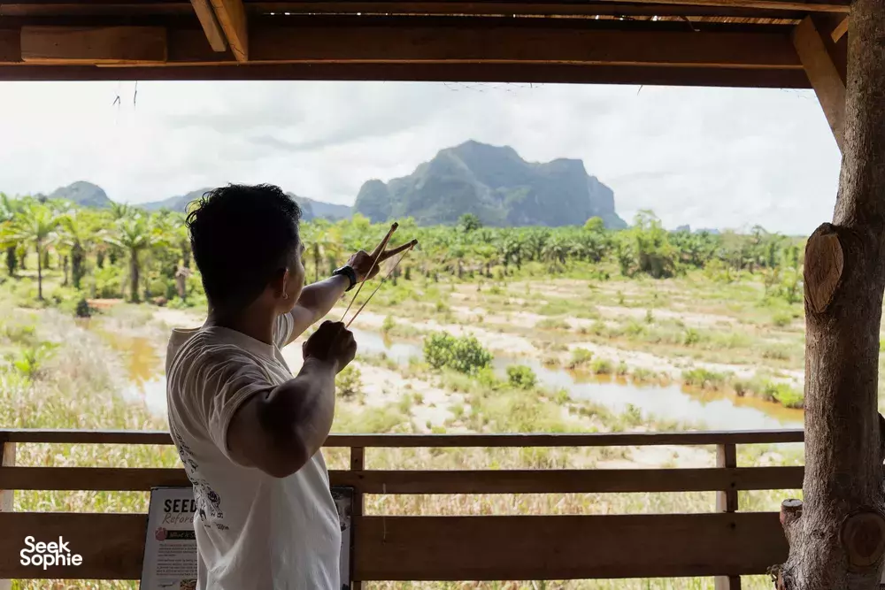 Seek Sophie option picture