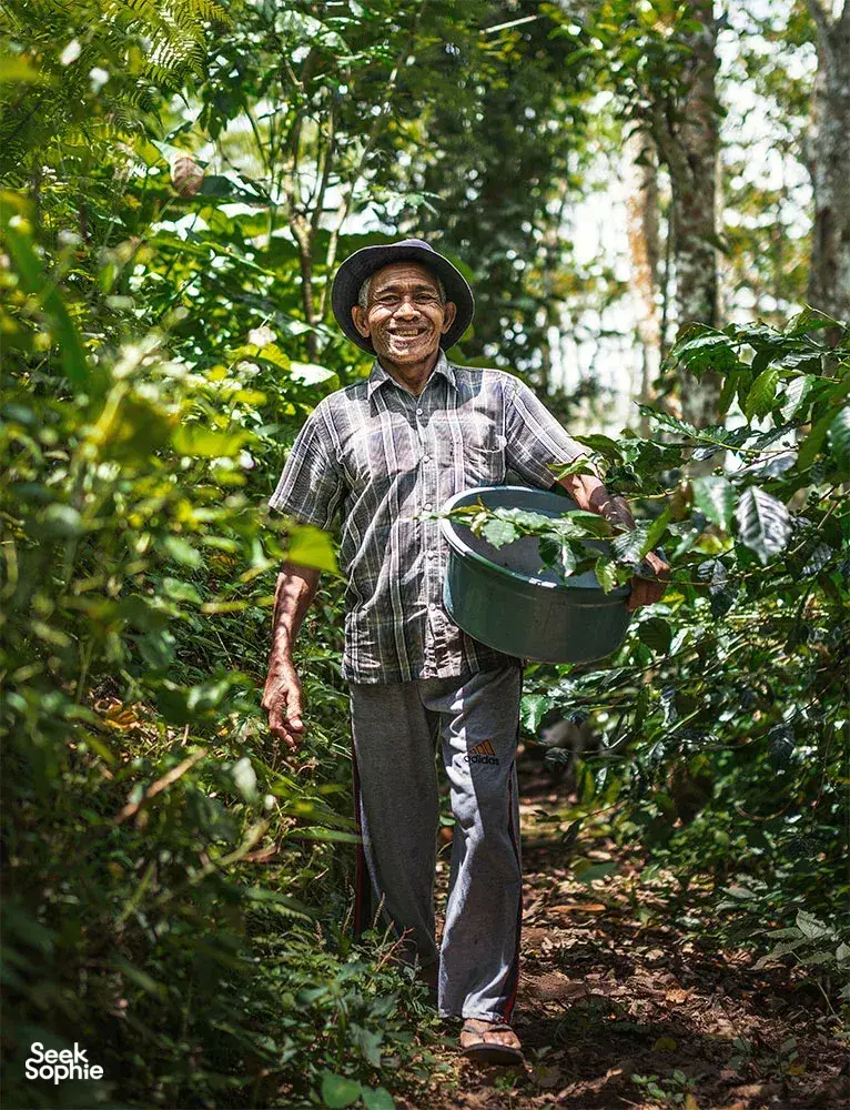 Bali Beans farmer smiling while carrying a harvest basket along a shaded path through an organic coffee plantation in Kintamani, Bali