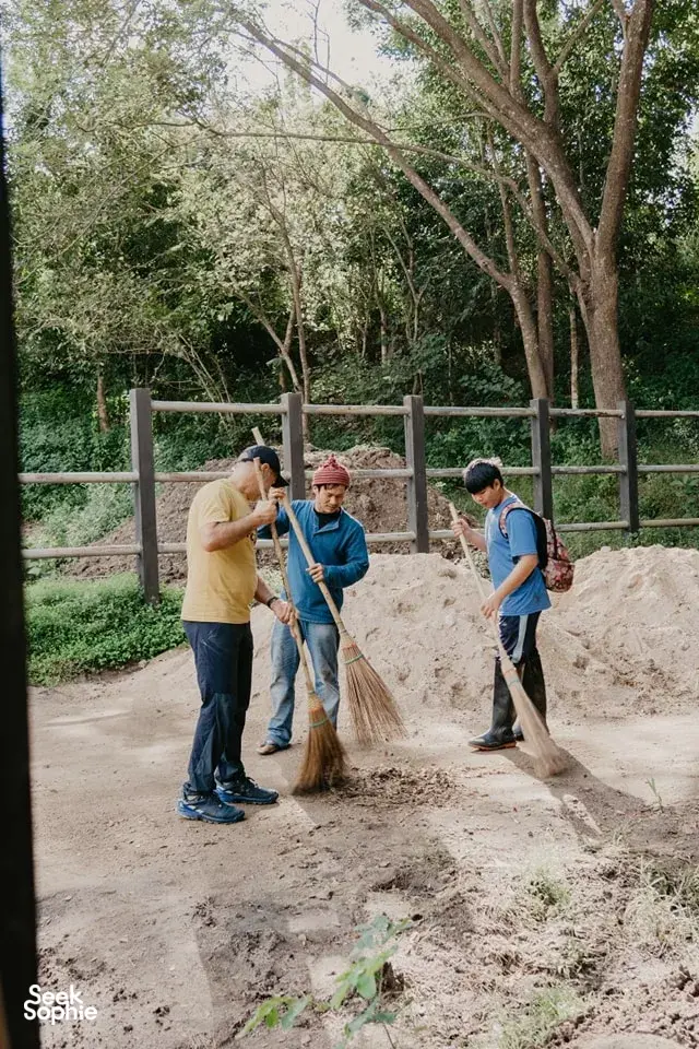 Seek Sophie option picture