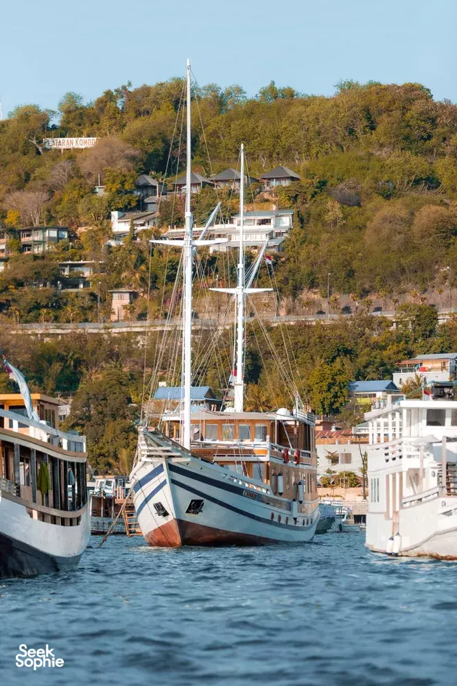 Seek Sophie option picture