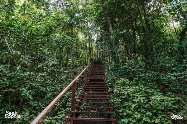 3D2N Kinabatangan River Hilltop Lodge | Support Conservation Work