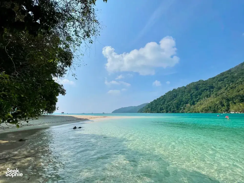 Seek Sophie option picture