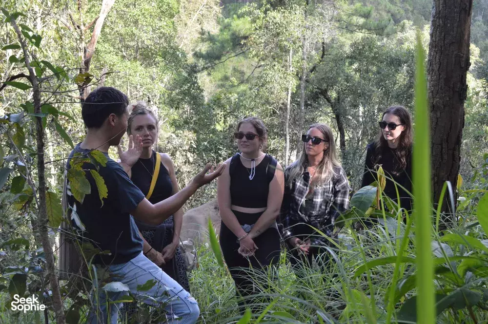 Seek Sophie option picture