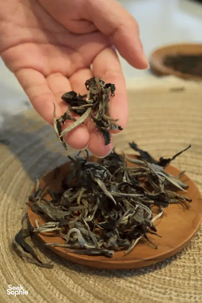 Seek Sophie option picture