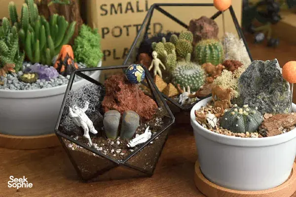 Private Great-Value Terrarium Workshop | Perfect for Teams or Parties