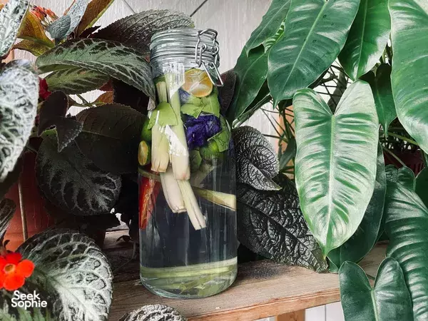 Garden-to-Table Workshop: Tea, Sodas & Roselle