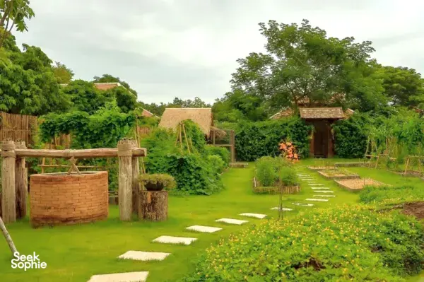 和奶奶的食谱学做泰国菜｜有机农场体验