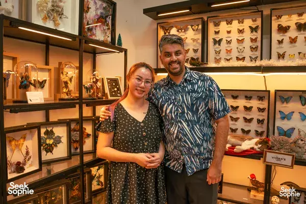 Preserving and Pinning: Learn to Taxidermize Butterflies/ Beetles!
