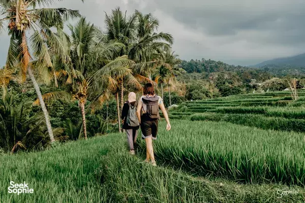 Half Day Rinjani Foothills Trek | Support First Female-Led Guides