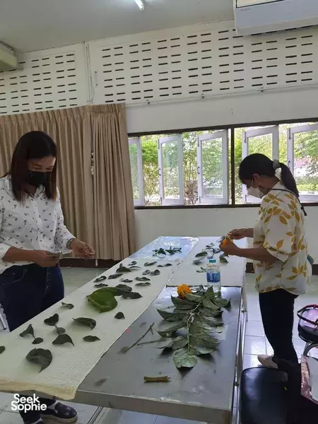 Hidden Eco-Print Workshop Near Chiang Mai Forests