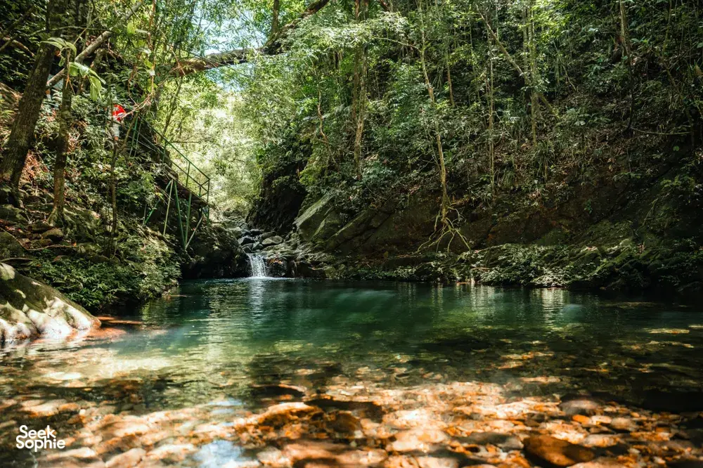 Seek Sophie option picture