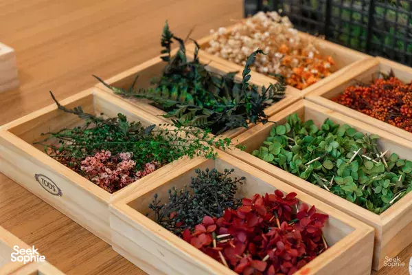 Craft a Moss Bluetooth Speaker | Tech + Nature