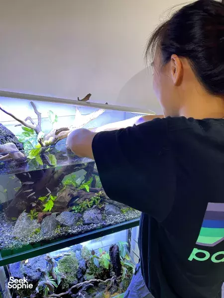 Reka Akuaskap Air Tawar Anda Sendiri