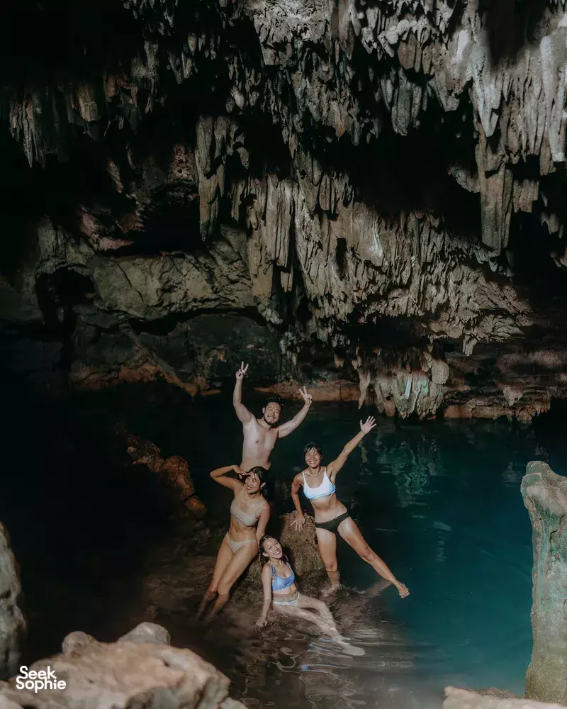 Seek Sophie option picture