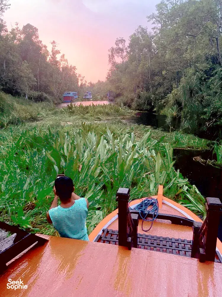 Seek Sophie option picture