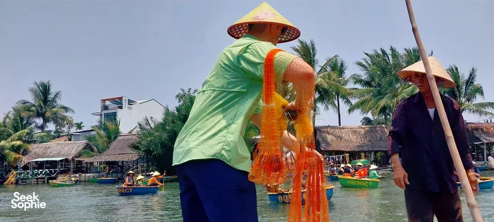 Seek Sophie option picture