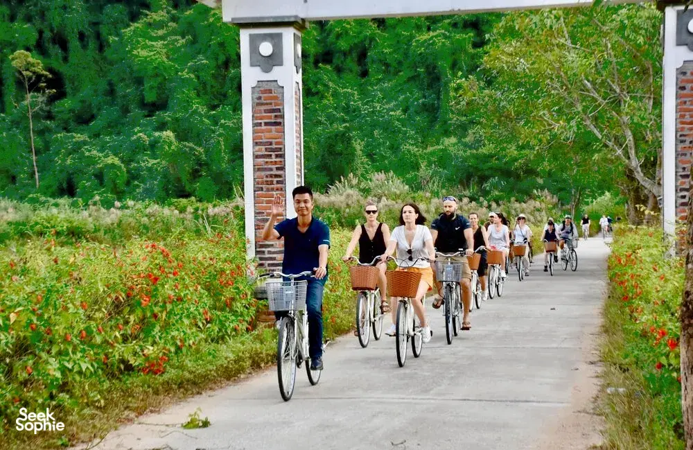 Seek Sophie option picture