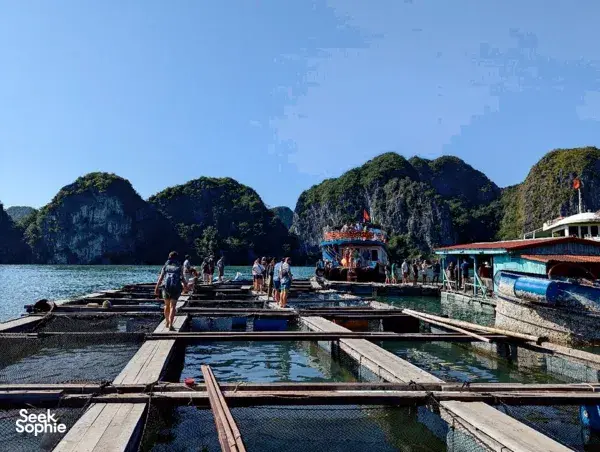 2D1N Cat Ba 5-Cabin Cruise | Longer Itinerary to Maximise Time on Bay