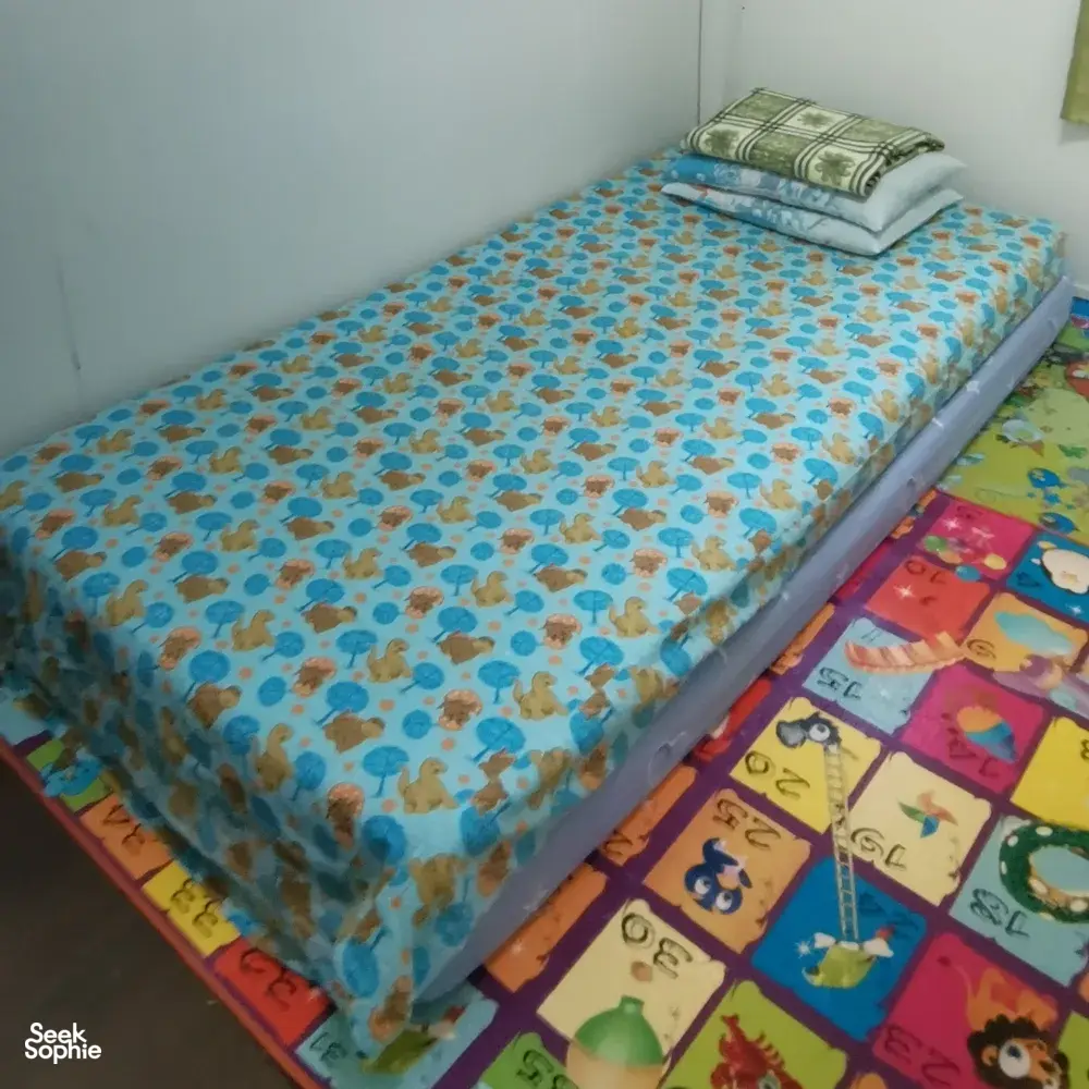 Seek Sophie option picture