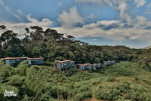 1D1N Sinharaja Rainforest Retreat & Hike @ Stylish Ecolodge 