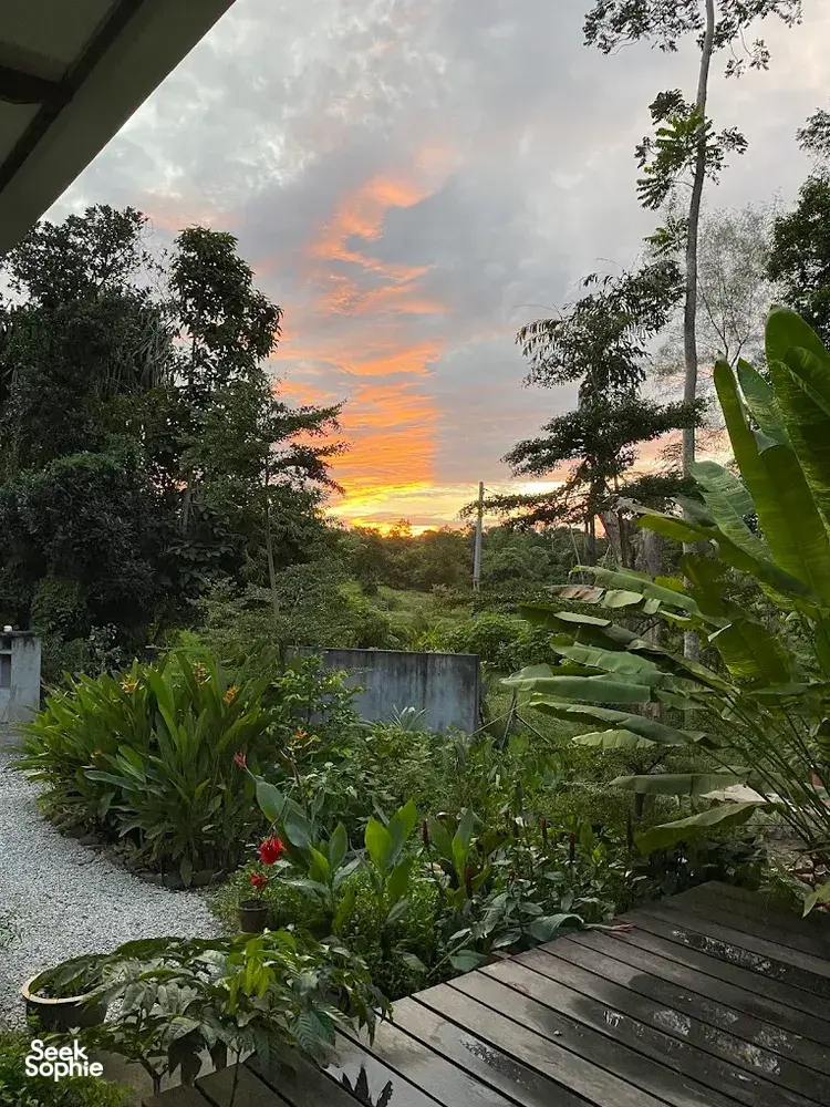 Sunset over lush tropical gardens with banana leaves and trees outside a wooden deck at Kebun Lidstari permaculture farmstay in Langkawi