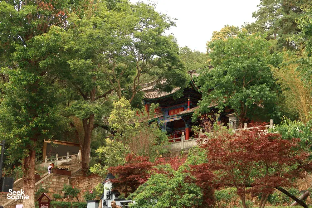 Green garden trees surrounding a traditional tiled-roof pavilion and doorway in Lijiang Old Town on a local-guided stroll